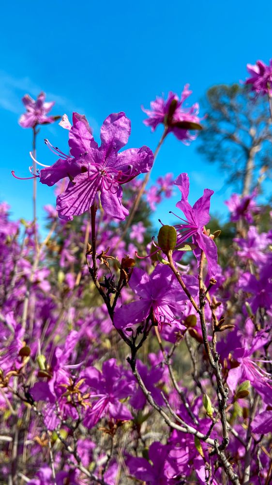 Photograph by Татьяна Азанбаева