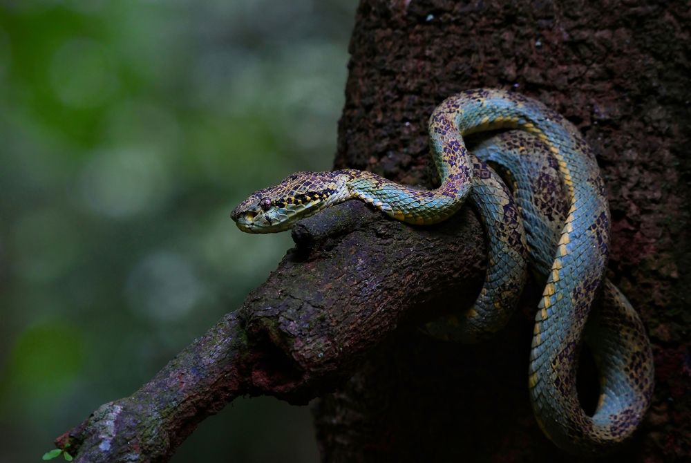 Photograph by George S George