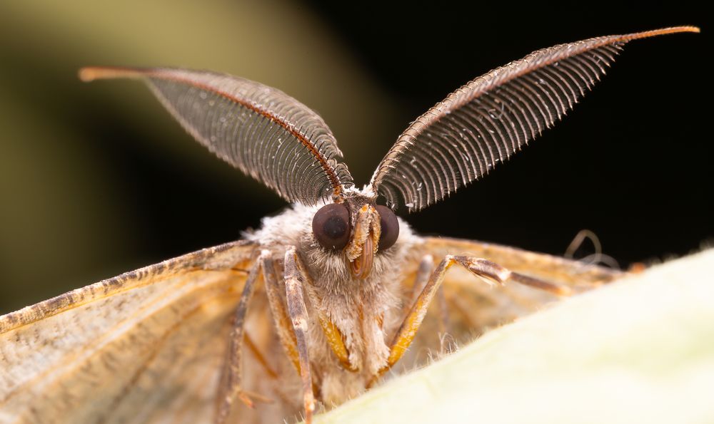 Фотография автора Alexander Pakhomov
