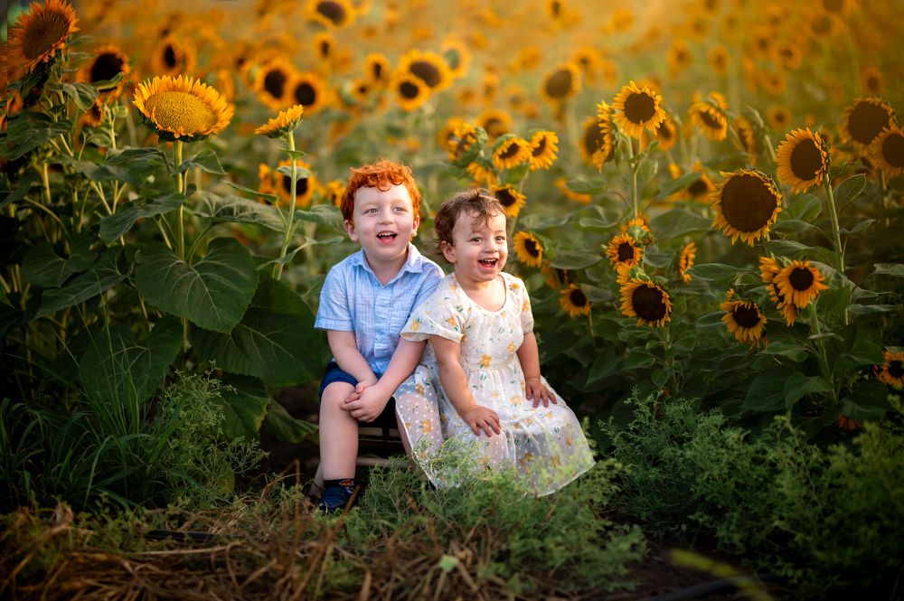 Photograph by Yahav Shafir