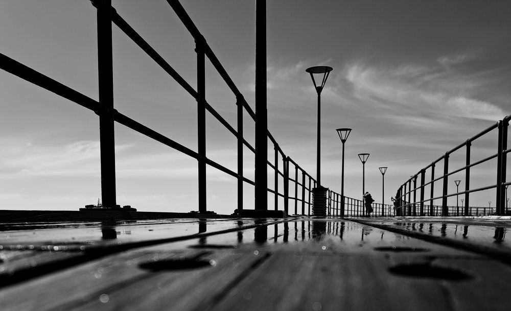 Фотография автора Elena