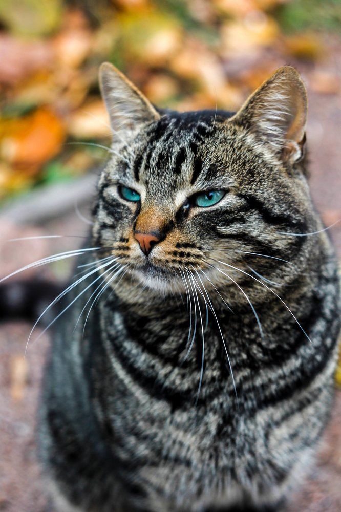 Хранитель тайн