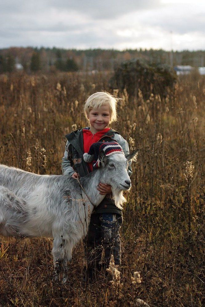 Будни юного пастуха