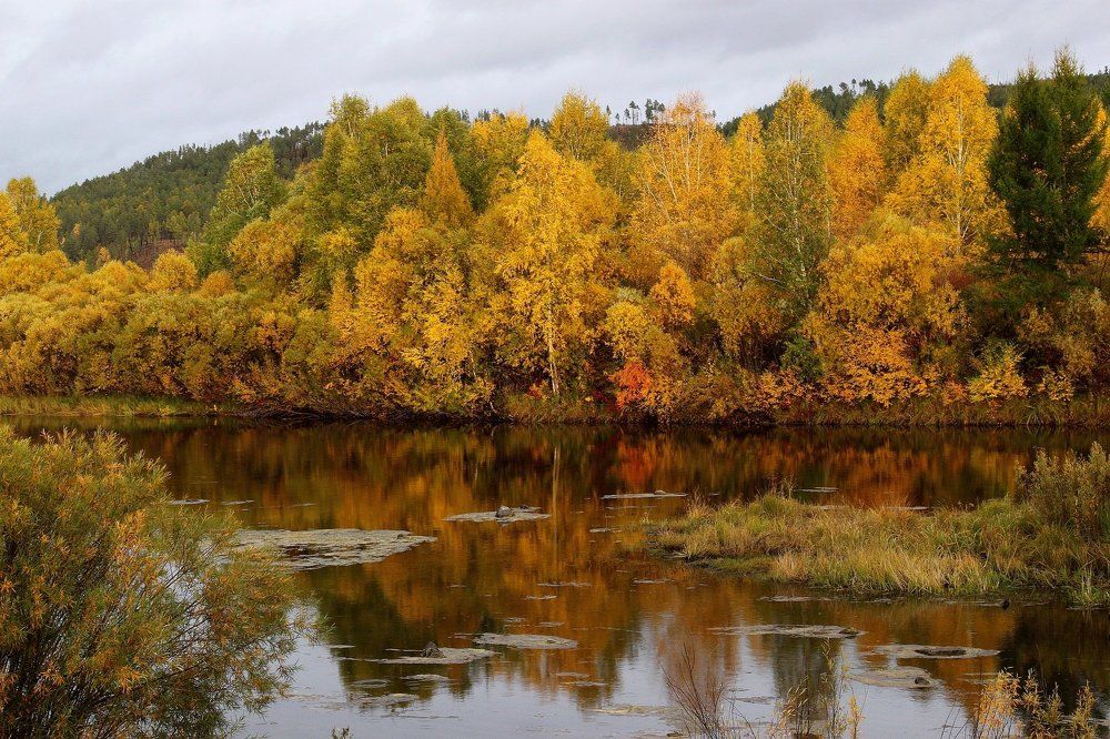 Photograph by Ната Харина