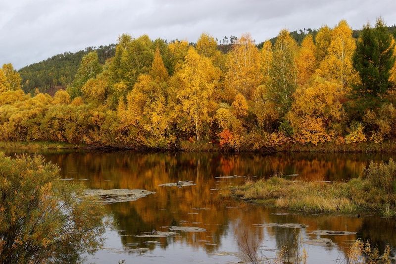 Ната Харина, Russia