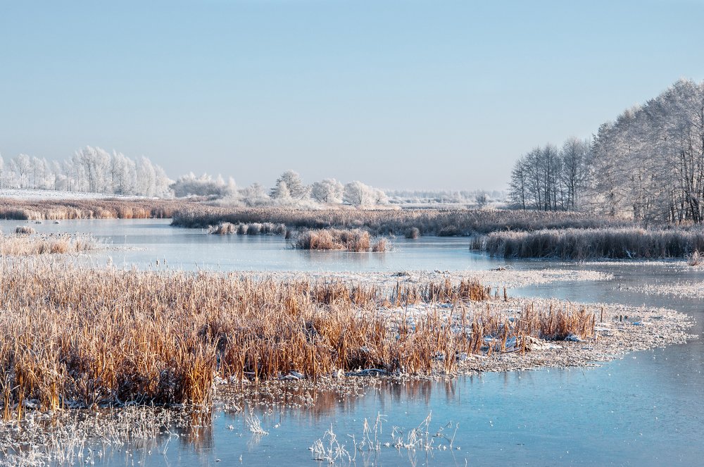 Морозное утро