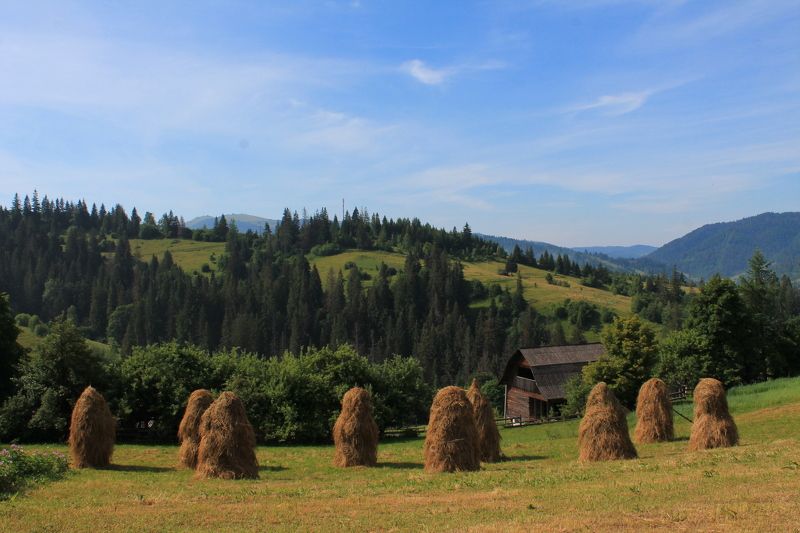 Oleksiy Dolynnyy, Ukraine