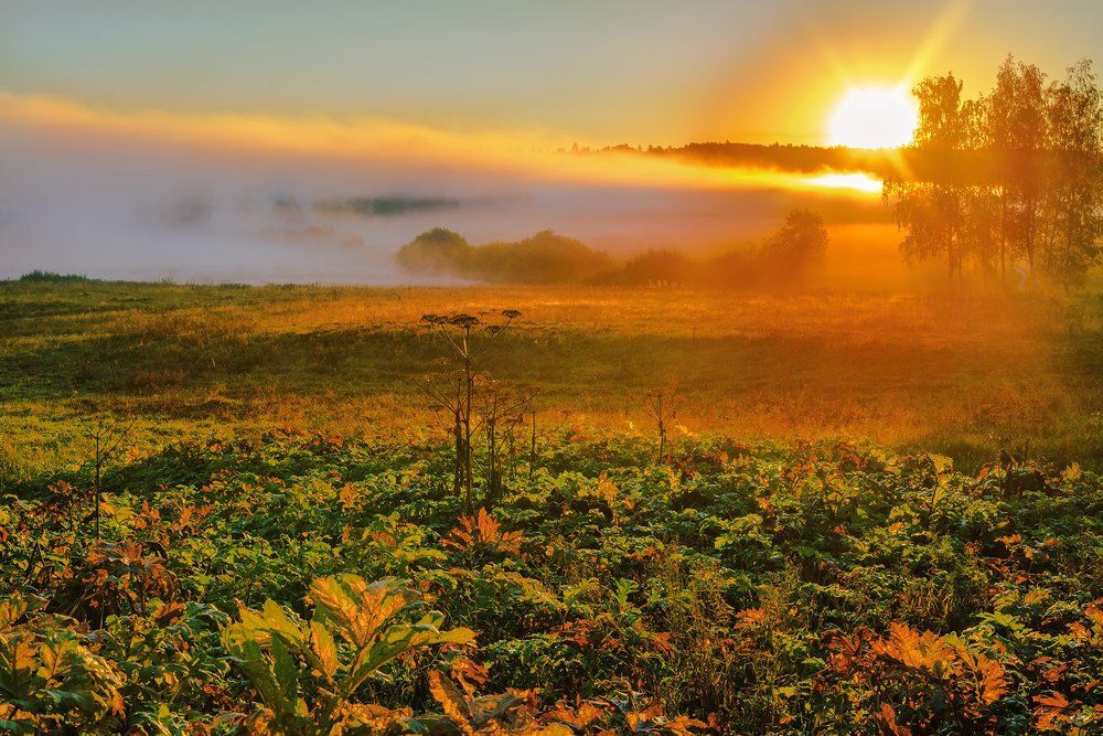 Рассвет под Дмитровом