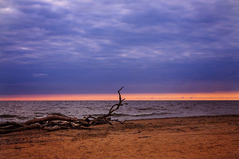 Photograph by Светлана