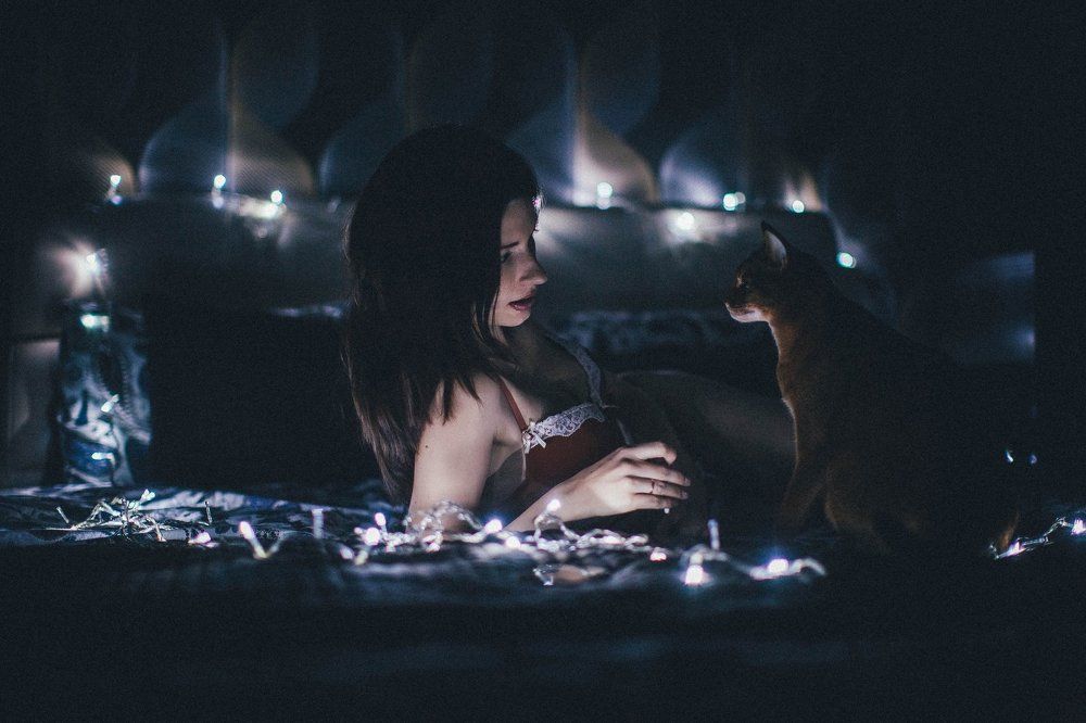 Ночной гость