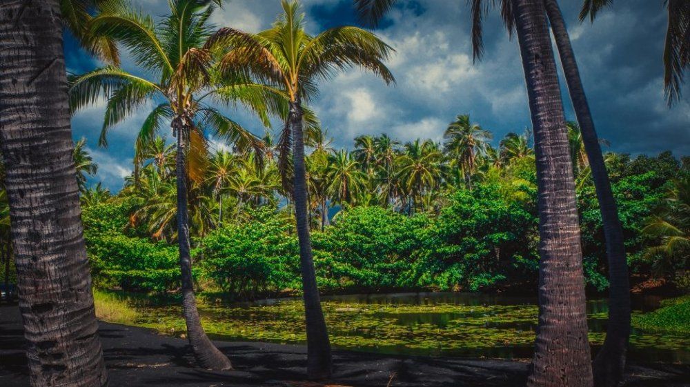 Черный пляж. Гавайи