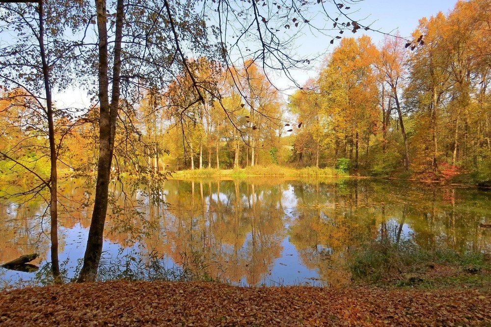 Золотая осень