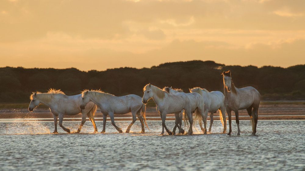 Photograph by Jevgenija Sepeliova
