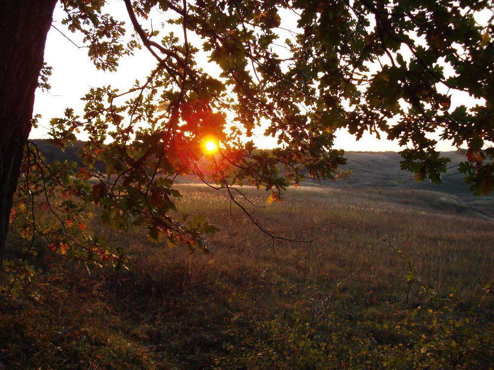 Осенний закат