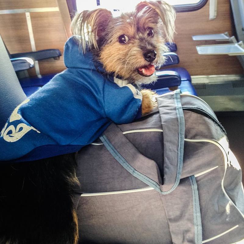 Наталья, Russia