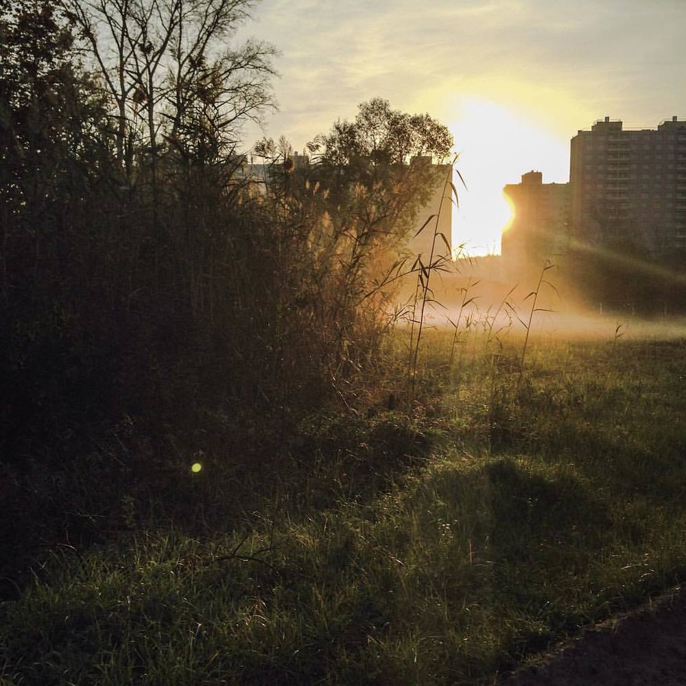 Туманный рассвет