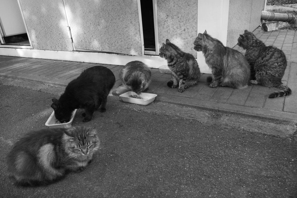 А у нас во дворе