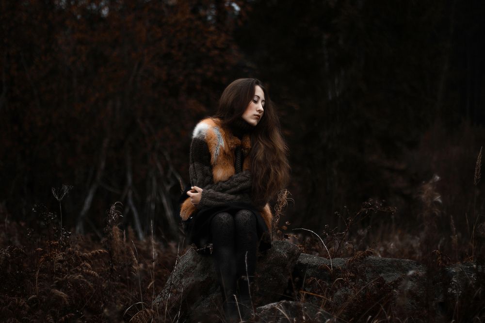 Lost Along The Forest