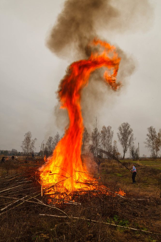 Огненый дракон