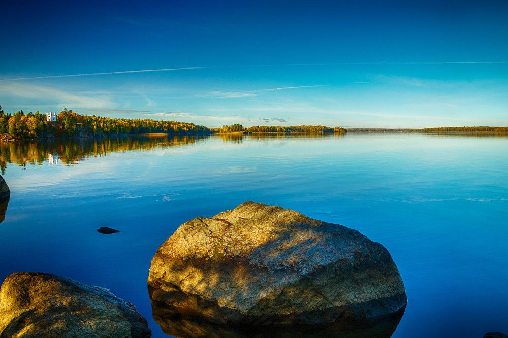 На берегу Парка "Монрепо"
