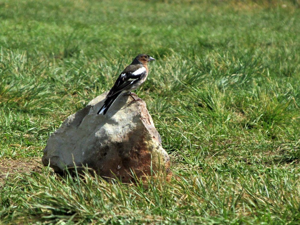 Photograph by Виктория Баглай