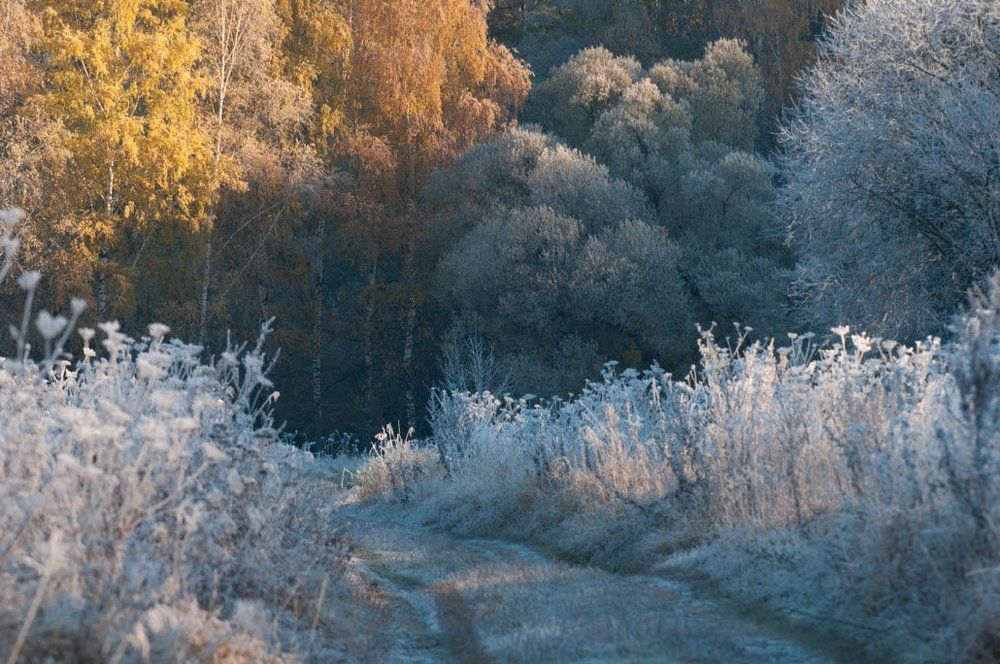 Из осени в зиму