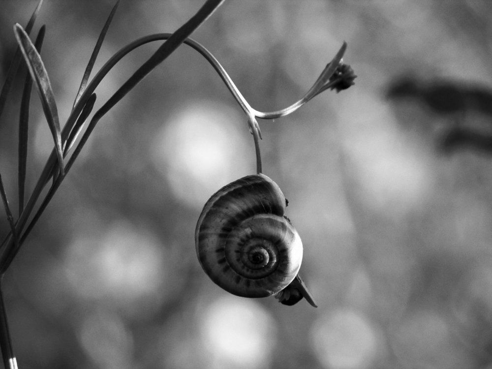 Размышления о времени и Вечности.