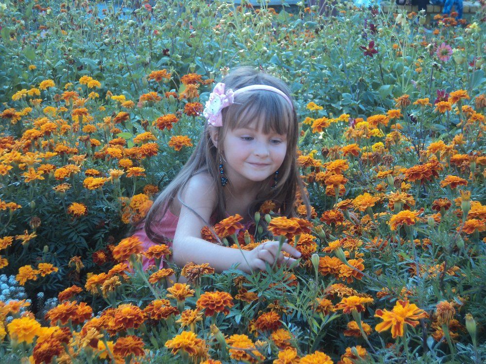 Photo #1079139