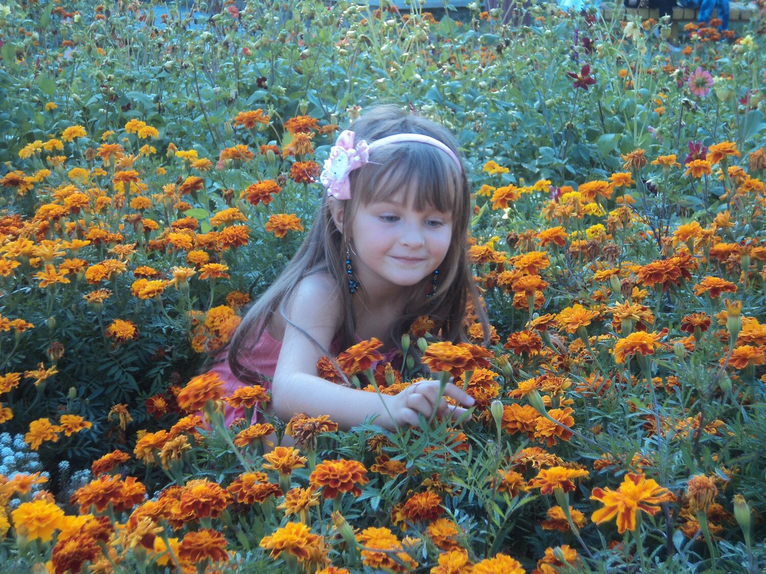 Photo #1079139