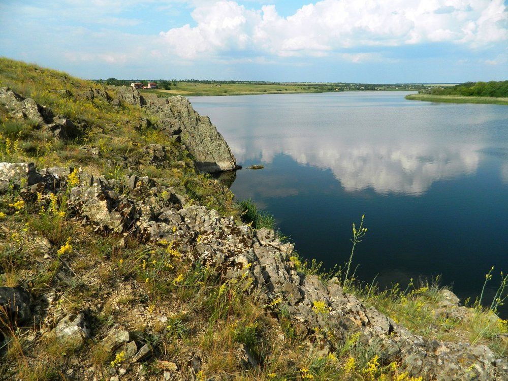 Летний пейзаж на реке