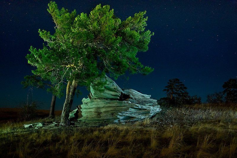 Igor Babushkin, Russia