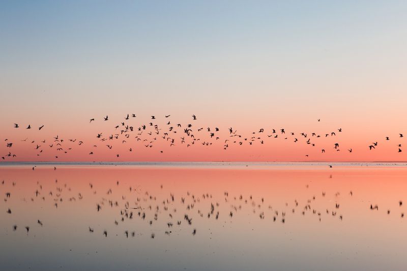 Igor Ilvutchenko, Russia