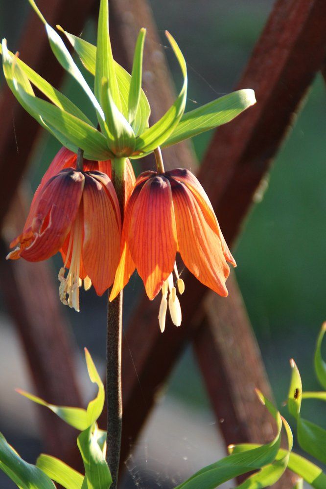 Photograph by Анна Байдо