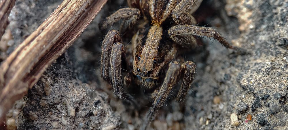 Photograph by Алексей Сафонов