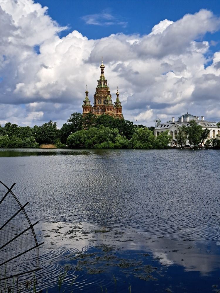 Фотография автора Elena