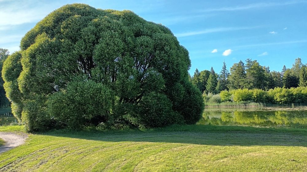 Photograph by Инна Демкив