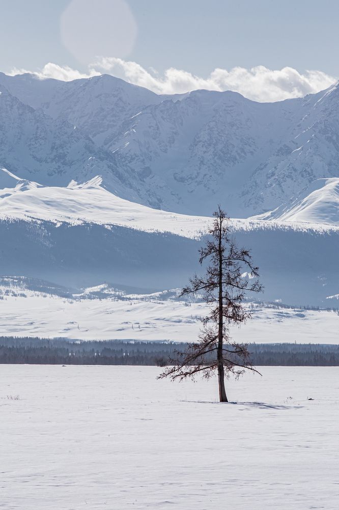 Photograph by Елена Павлова