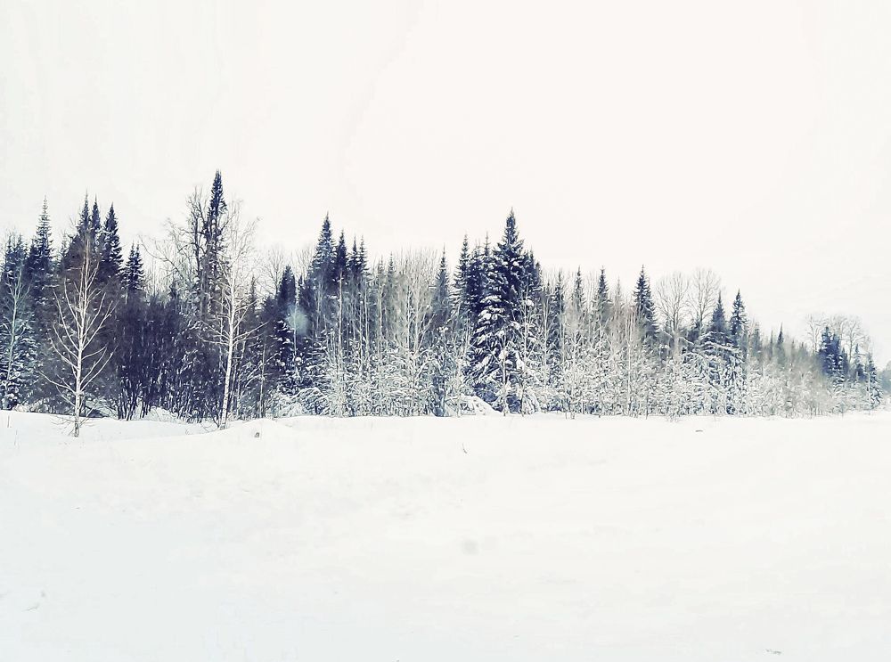 Photograph by Ольга Фомина