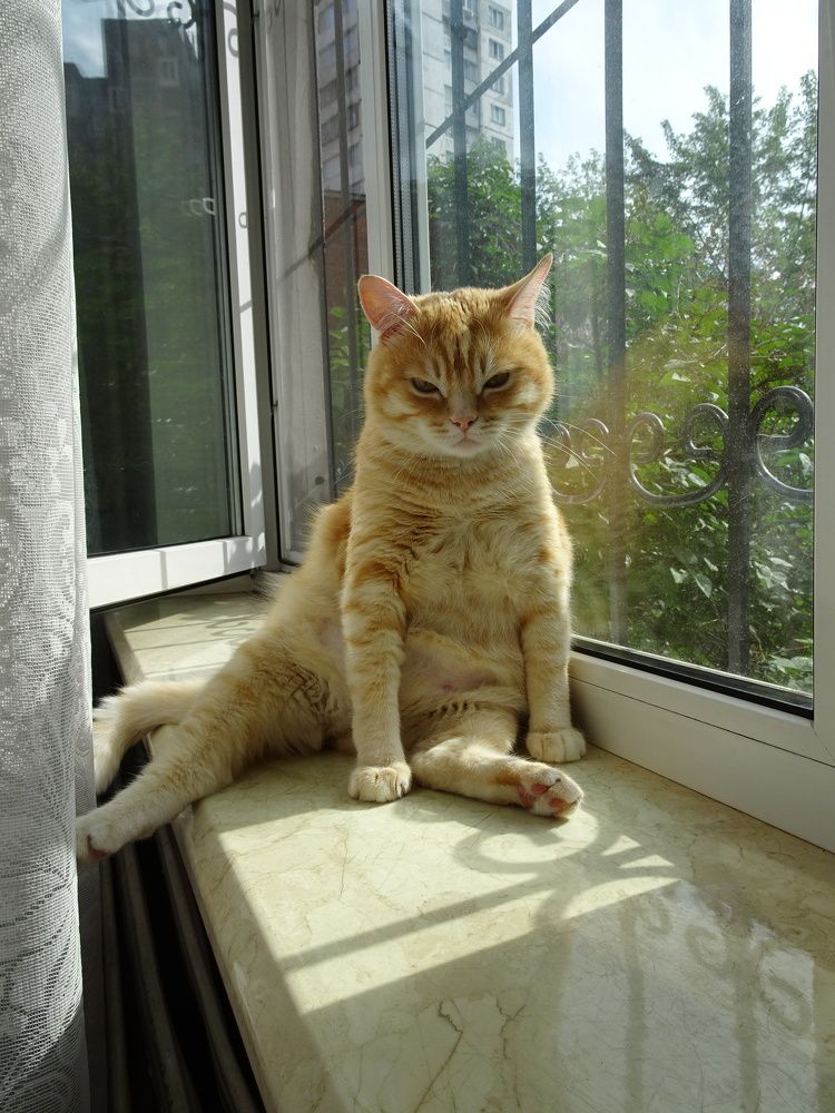 Photograph by Мила Милая