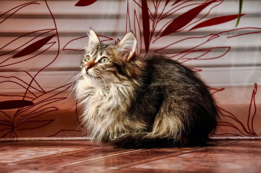 Photograph by Сергей Газизов