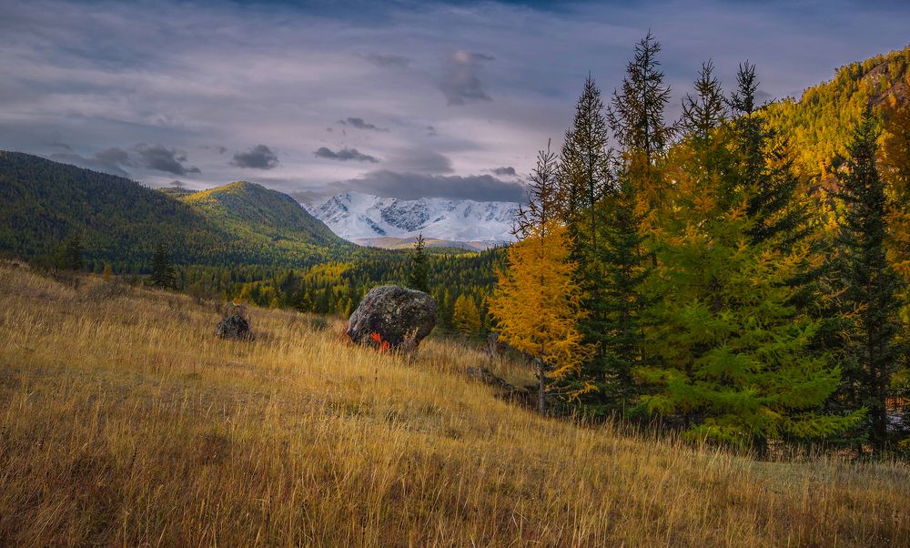 Photograph by Чичкин Валерий