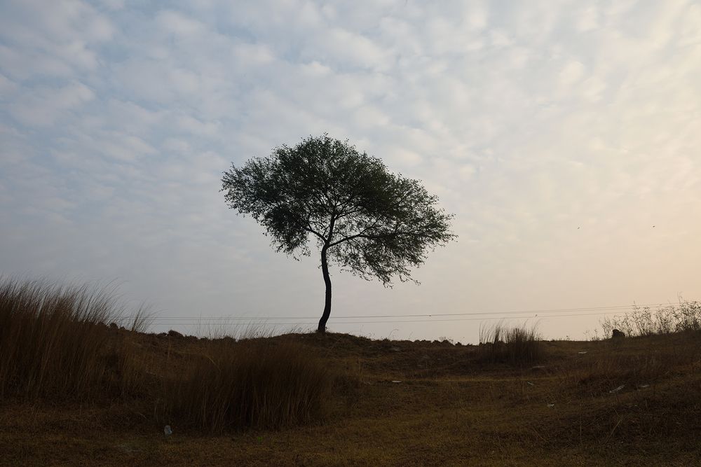 Photograph by Kaushik Dolui