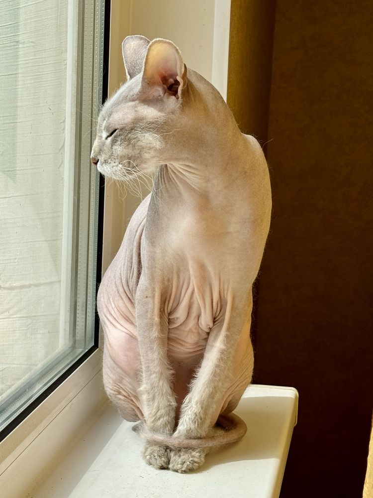 Photograph by Дарья Самойленко