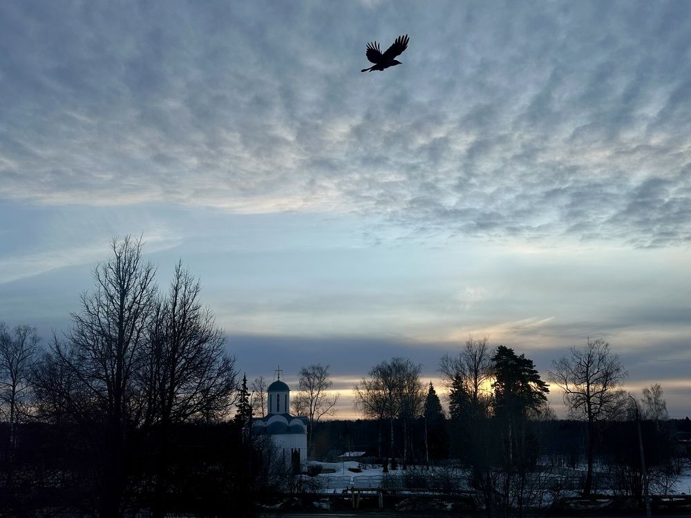 Photograph by Наталья Сережко