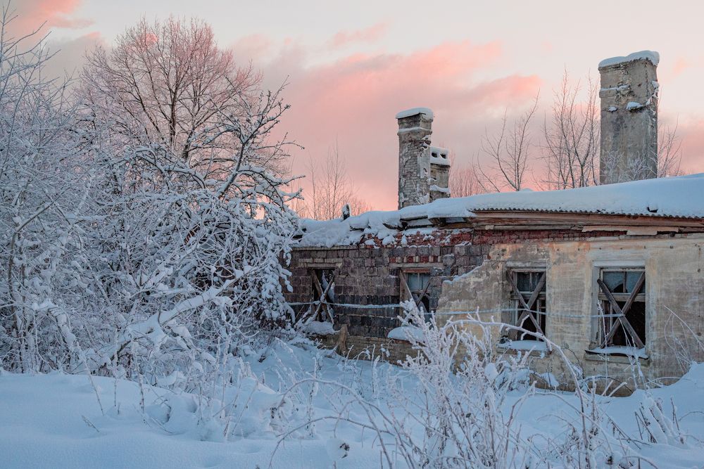 Photograph by Сергей Зимин