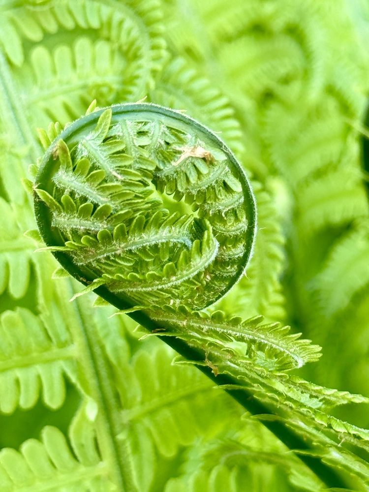 Photograph by Дарья Самойленко