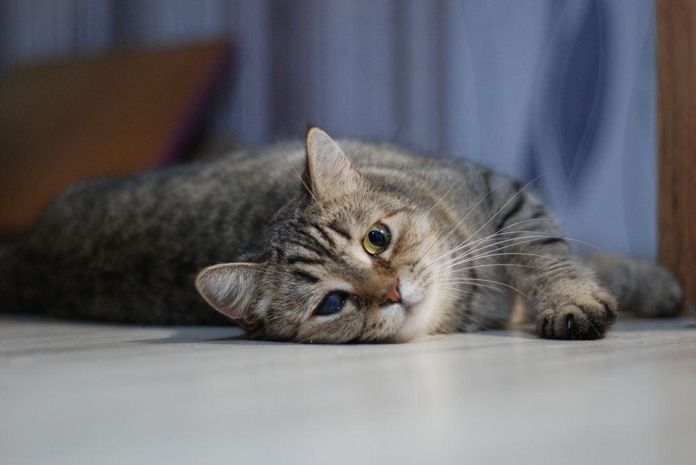 Photograph by Сергей Зимин