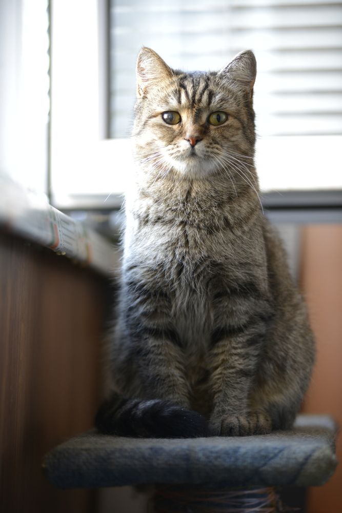 Photograph by Сергей Зимин