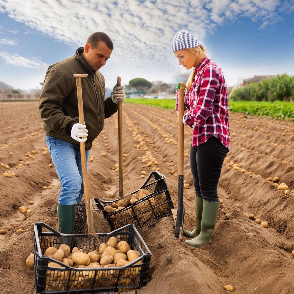 Photograph by Александр К