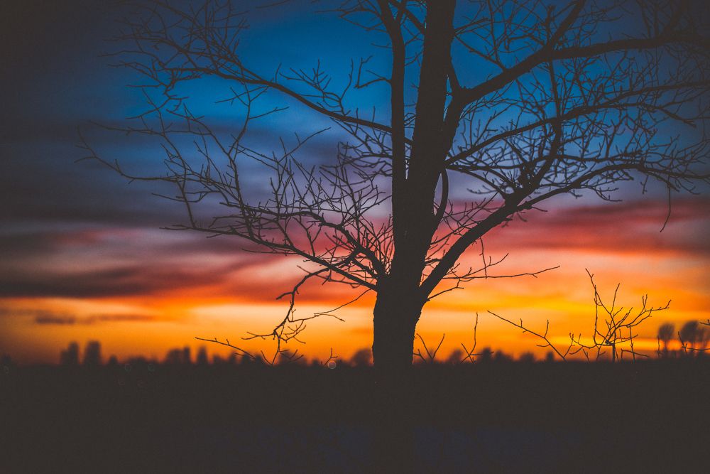 Photograph by Сергей Зимин